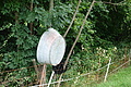 100-1348 - Bernhard Saalfeld