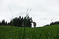 100-1381 - Bernhard Saalfeld