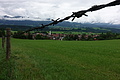 100-1384 - Bernhard Saalfeld