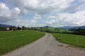 100-1390 - Bernhard Saalfeld