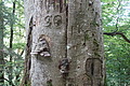 100-1475 - Bernhard Saalfeld