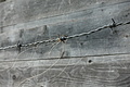100-1502 - Bernhard Saalfeld