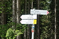 100-1503 - Bernhard Saalfeld