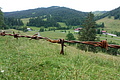 100-1534 - Bernhard Saalfeld