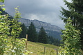 100-1535 - Bernhard Saalfeld