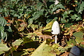 DSC02147 - Bernhard Saalfeld