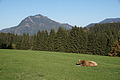 DSC02150 - Bernhard Saalfeld