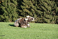DSC02152 - Bernhard Saalfeld