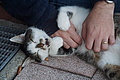 DSC02155 - Bernhard Saalfeld