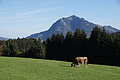 DSC02165 - Bernhard Saalfeld