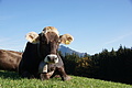 DSC02171 - Bernhard Saalfeld