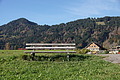 DSC02172 - Bernhard Saalfeld