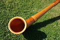 DSC02185 - Bernhard Saalfeld