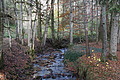 DSC02201 - Bernhard Saalfeld