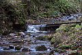 DSC02203 - Bernhard Saalfeld