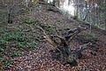DSC02204 - Bernhard Saalfeld