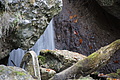 DSC02210 - Bernhard Saalfeld