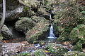 DSC02212 - Bernhard Saalfeld