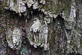 DSC02215 - Bernhard Saalfeld