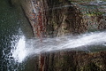 DSC02217 - Bernhard Saalfeld
