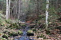 DSC02232 - Bernhard Saalfeld