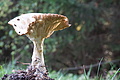 DSC02236 - Bernhard Saalfeld