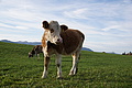 DSC02241 - Bernhard Saalfeld