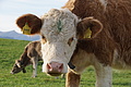 DSC02242 - Bernhard Saalfeld
