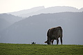 DSC02245 - Bernhard Saalfeld