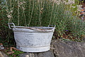 DSC02250 - Bernhard Saalfeld