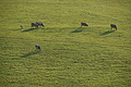 DSC02262 - Bernhard Saalfeld