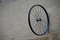 DSC02273 - Bernhard Saalfeld