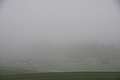 DSC02290 - Bernhard Saalfeld