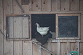 DSC02291 - Bernhard Saalfeld