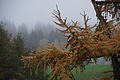 DSC02296 - Bernhard Saalfeld