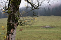 DSC02300 - Bernhard Saalfeld