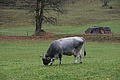 DSC02301 - Bernhard Saalfeld