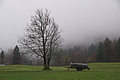 DSC02305 - Bernhard Saalfeld