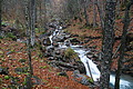 DSC02310 - Bernhard Saalfeld