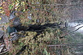 DSC02313 - Bernhard Saalfeld