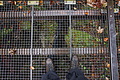 DSC02317 - Bernhard Saalfeld