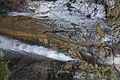 DSC02323 - Bernhard Saalfeld