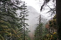 DSC02331 - Bernhard Saalfeld