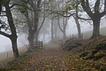 DSC02340 - Bernhard Saalfeld
