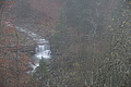 DSC02343 - Bernhard Saalfeld
