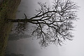 DSC02344 - Bernhard Saalfeld