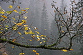 DSC02348 - Bernhard Saalfeld