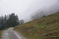 DSC02349 - Bernhard Saalfeld