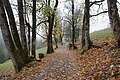 DSC02352 - Bernhard Saalfeld