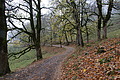 DSC02354 - Bernhard Saalfeld